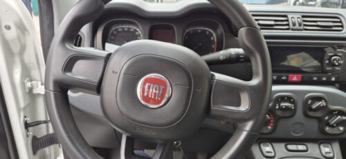 Fiat Panda 1.2 GPL USATO 2023