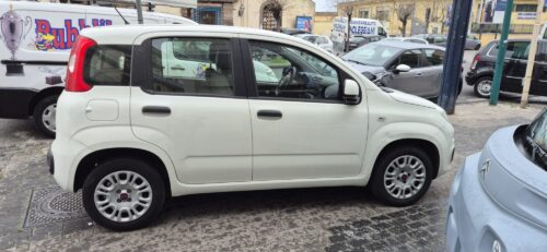 Fiat Panda 1.2 GPL USATO 2023