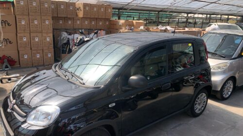 Fiat Panda 1.0 FireFly S&S Hybrid 2023 USATO