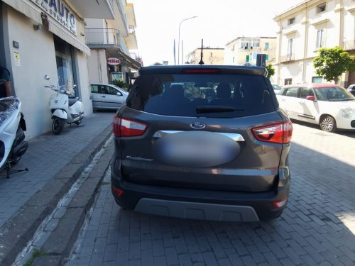 Ford EcoSport 1.5 100 CV Titanium 2019 OCCASIONE