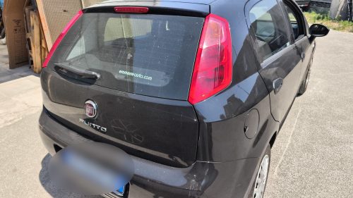 Fiat Punto EVO 1.2 8V 5 porte Lounge 2016 USATO