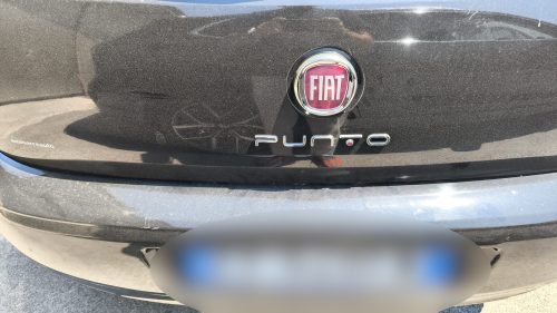 Fiat Punto EVO 1.2 8V 5 porte Lounge 2016 USATO