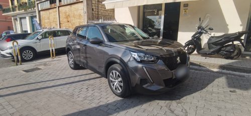 Peugeot 2008 1.5 BlueHDi 110 BUSINESS 2021 USATO