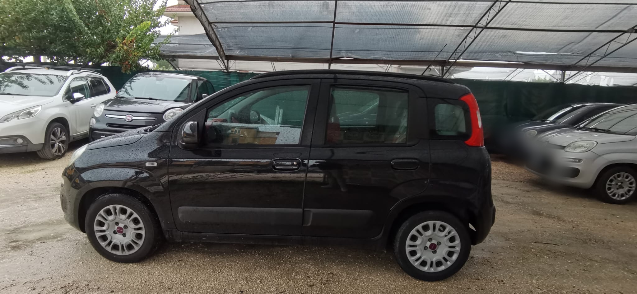 Fiat Panda 1.2 Lounge 2015 USATO