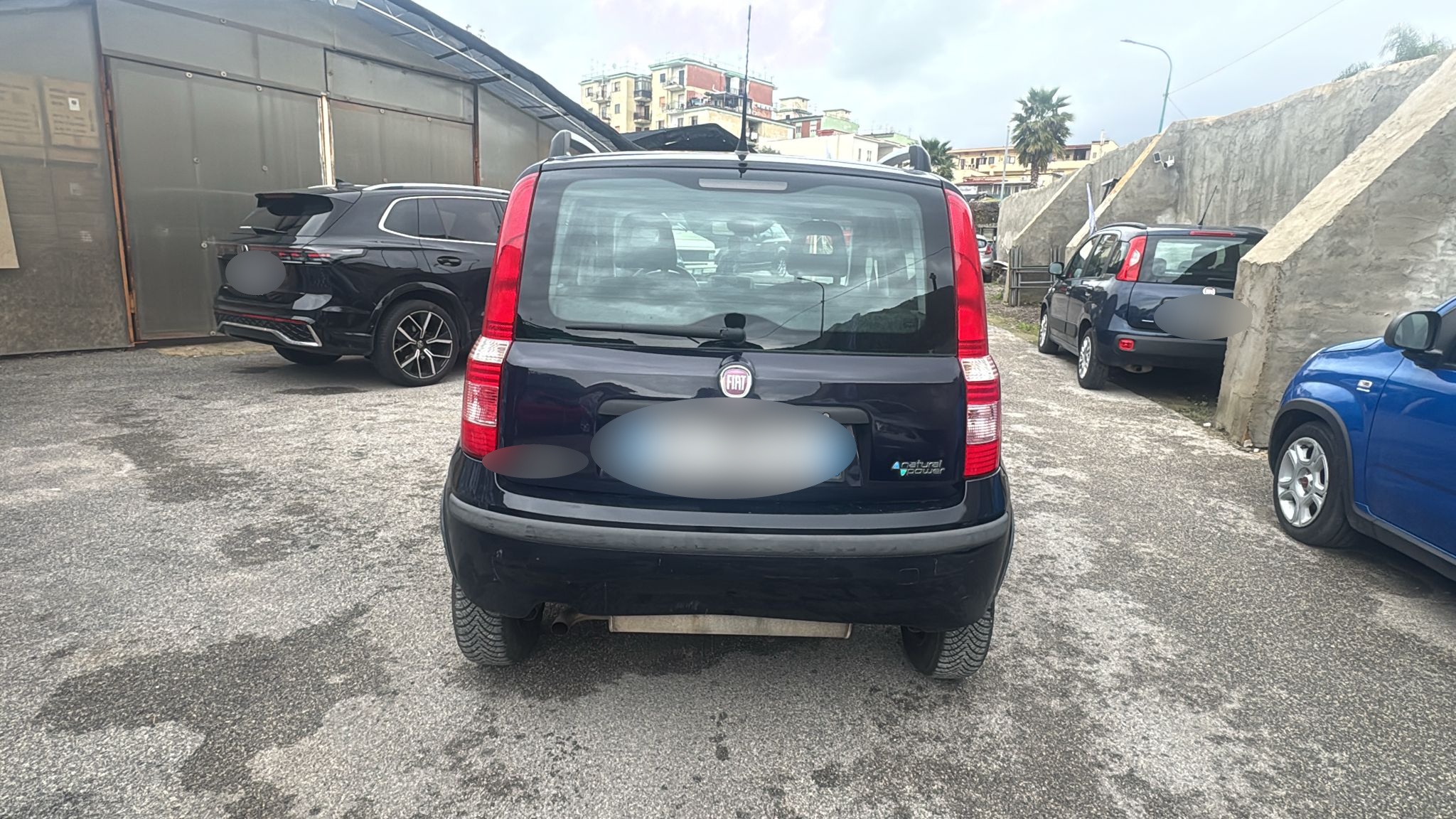 Fiat Panda 1.4 Dynamic Natural Power 2011 USATO