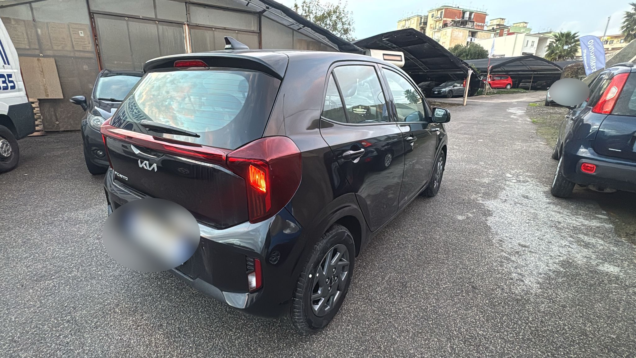 Kia Picanto 1.0 benzina 5 porte Urban KM0 2025