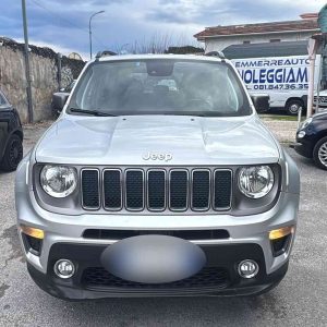 Jeep Renegade 1.4 GPL LIMITED AUTOMATICA 2019 USATO