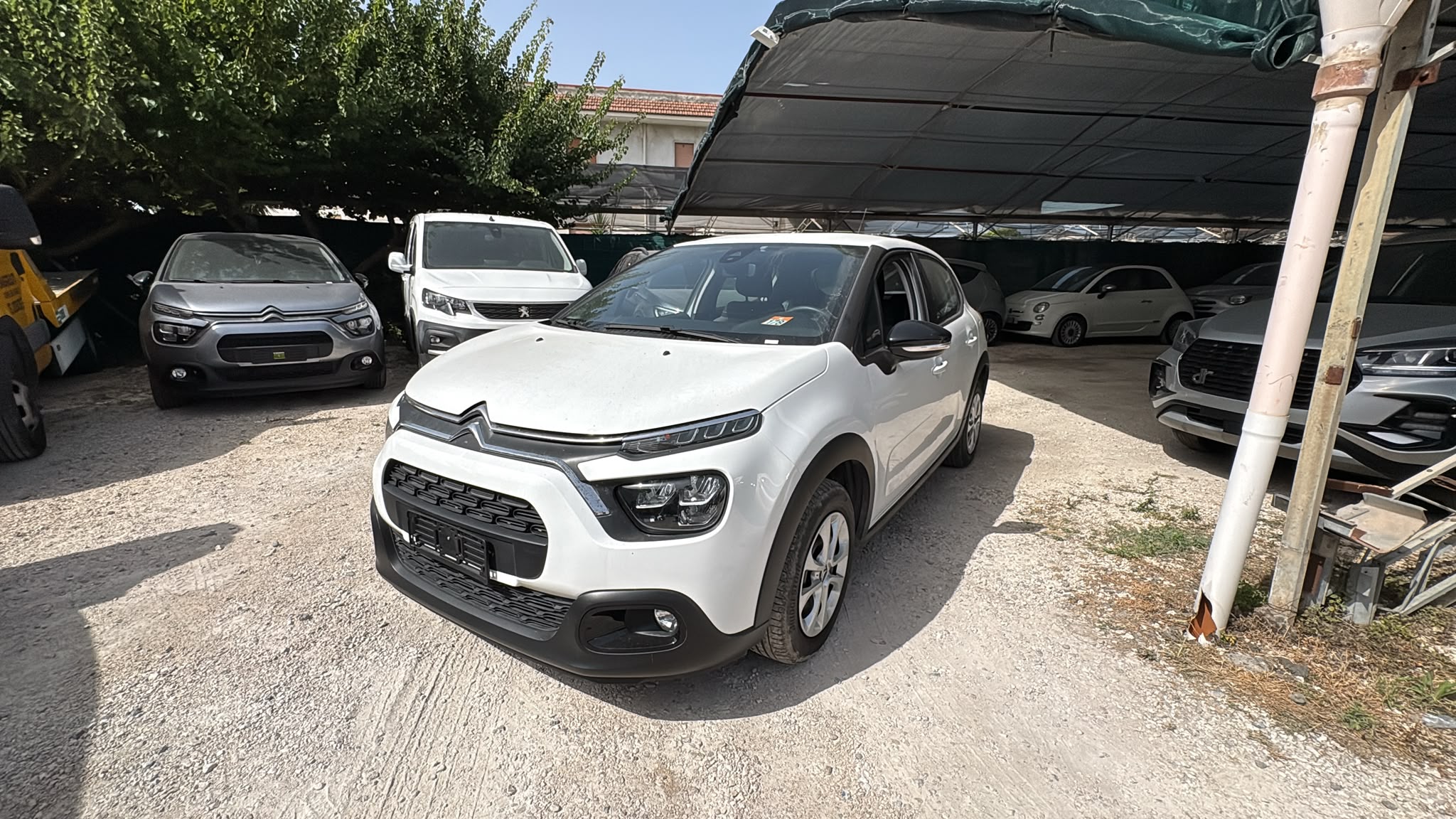 Citroen C3 1.5 BlueHDi 100 Business 2023 USATO
