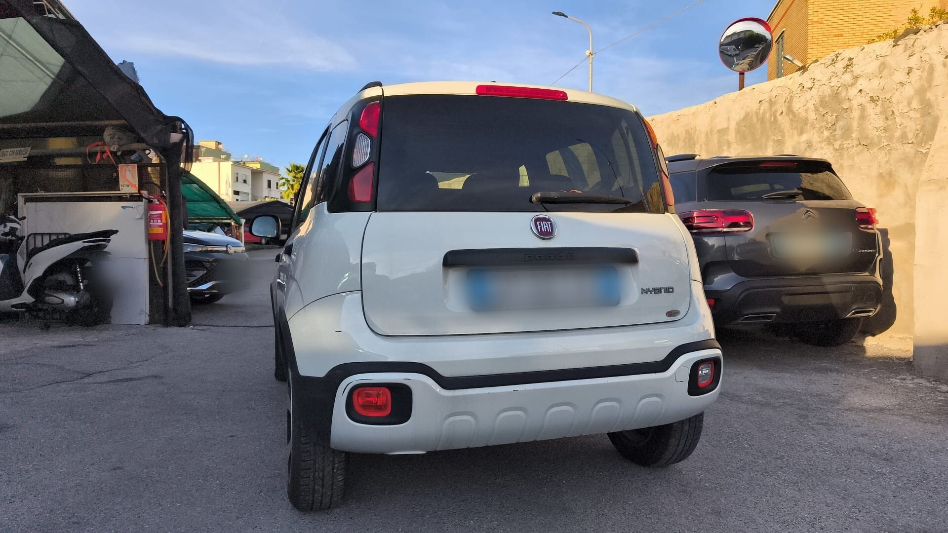Fiat Panda Cross 1.0 FireFly Hybrid 2023 USATO - immagine 8