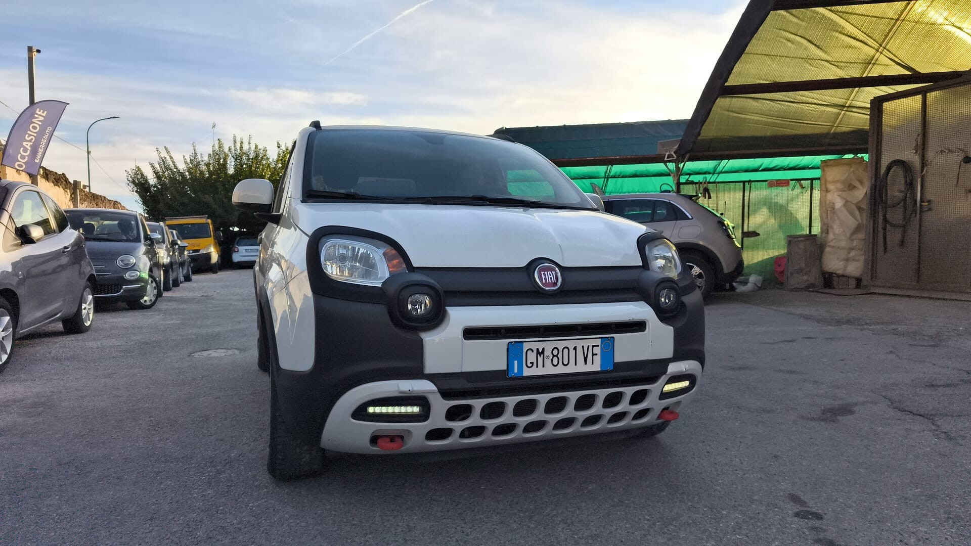 Fiat Panda Cross 1.0 FireFly Hybrid 2023 USATO - immagine 10